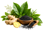 Nature's Path to Wellness